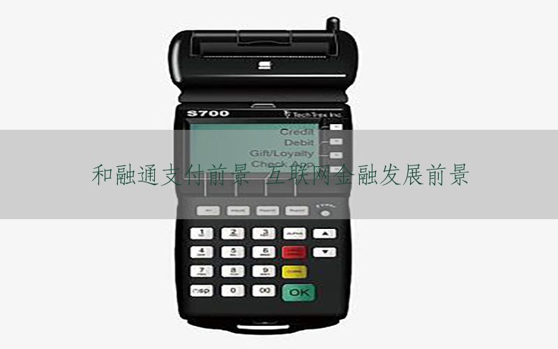 和融通支付前景 互联网金融发展前景